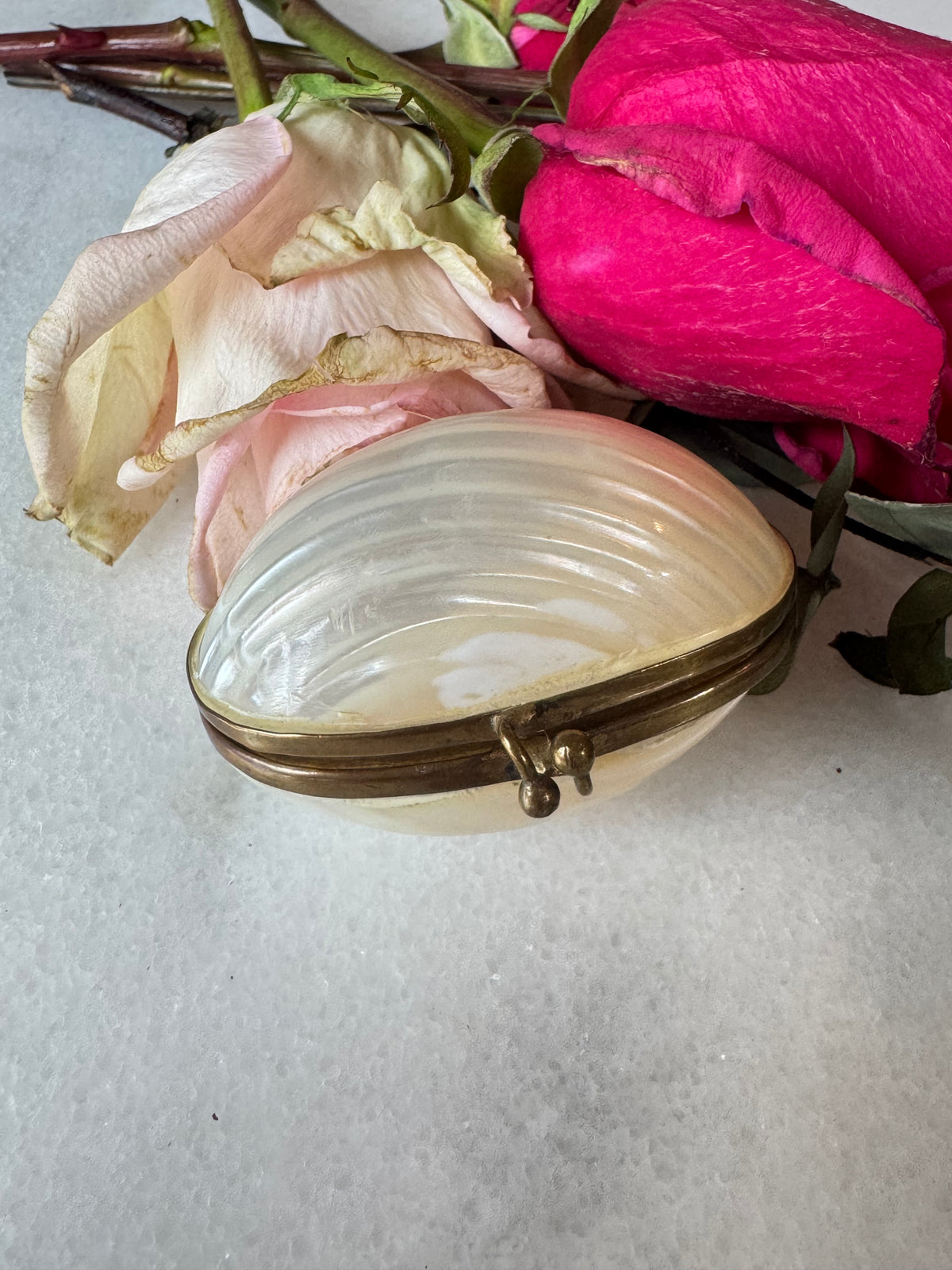 Antique Mother-of-Pearl Shell Coin Purse