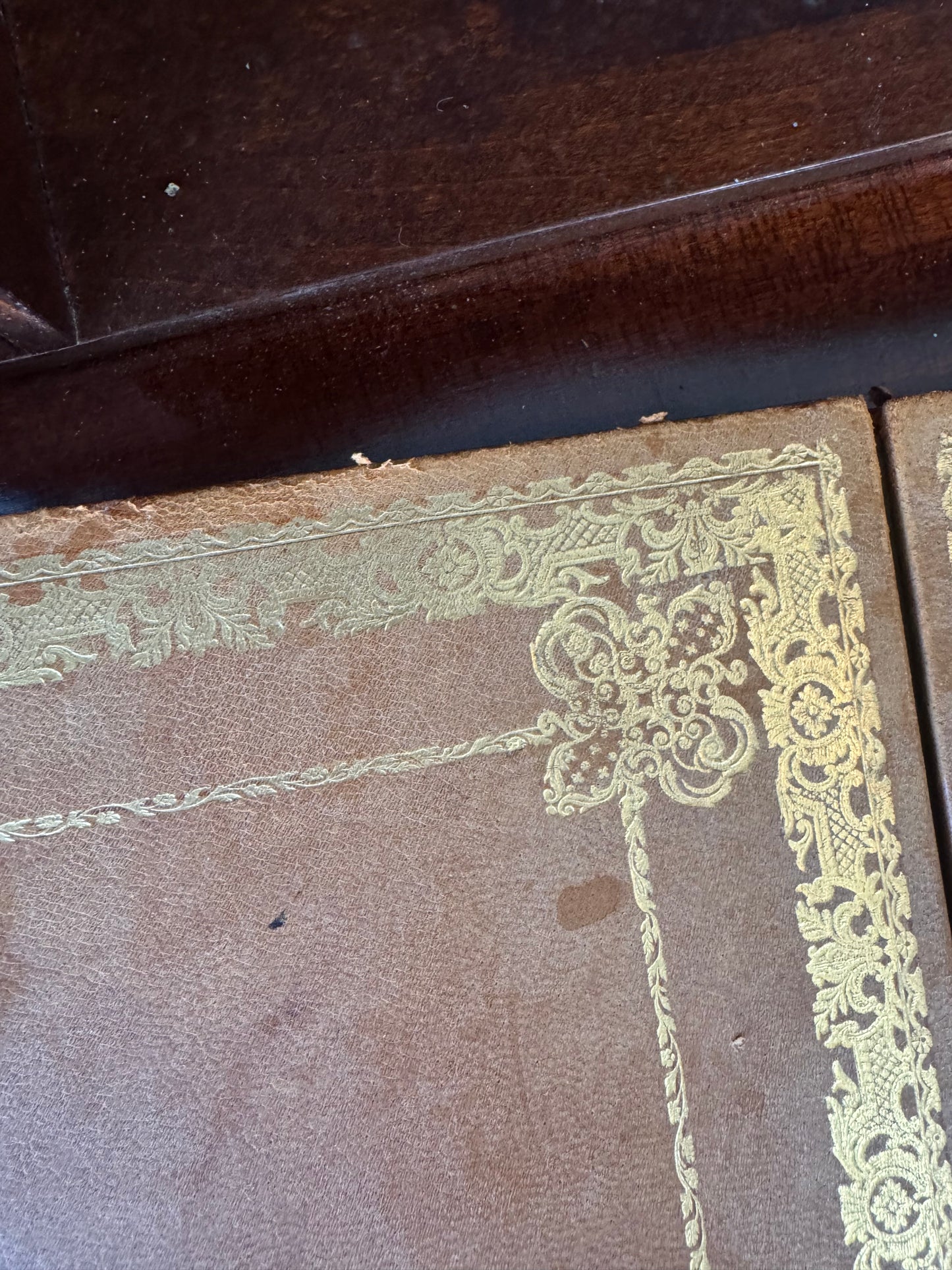 Antique French Royal Gilt-Tooled Leather Desk Mat