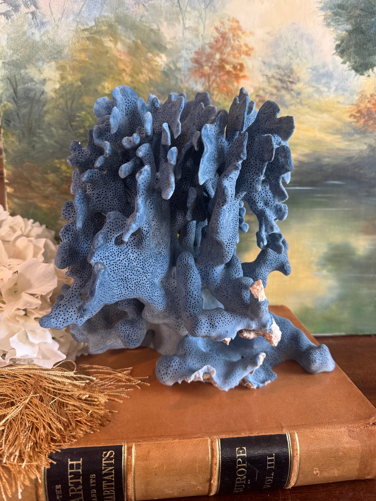 Large Blue Coral