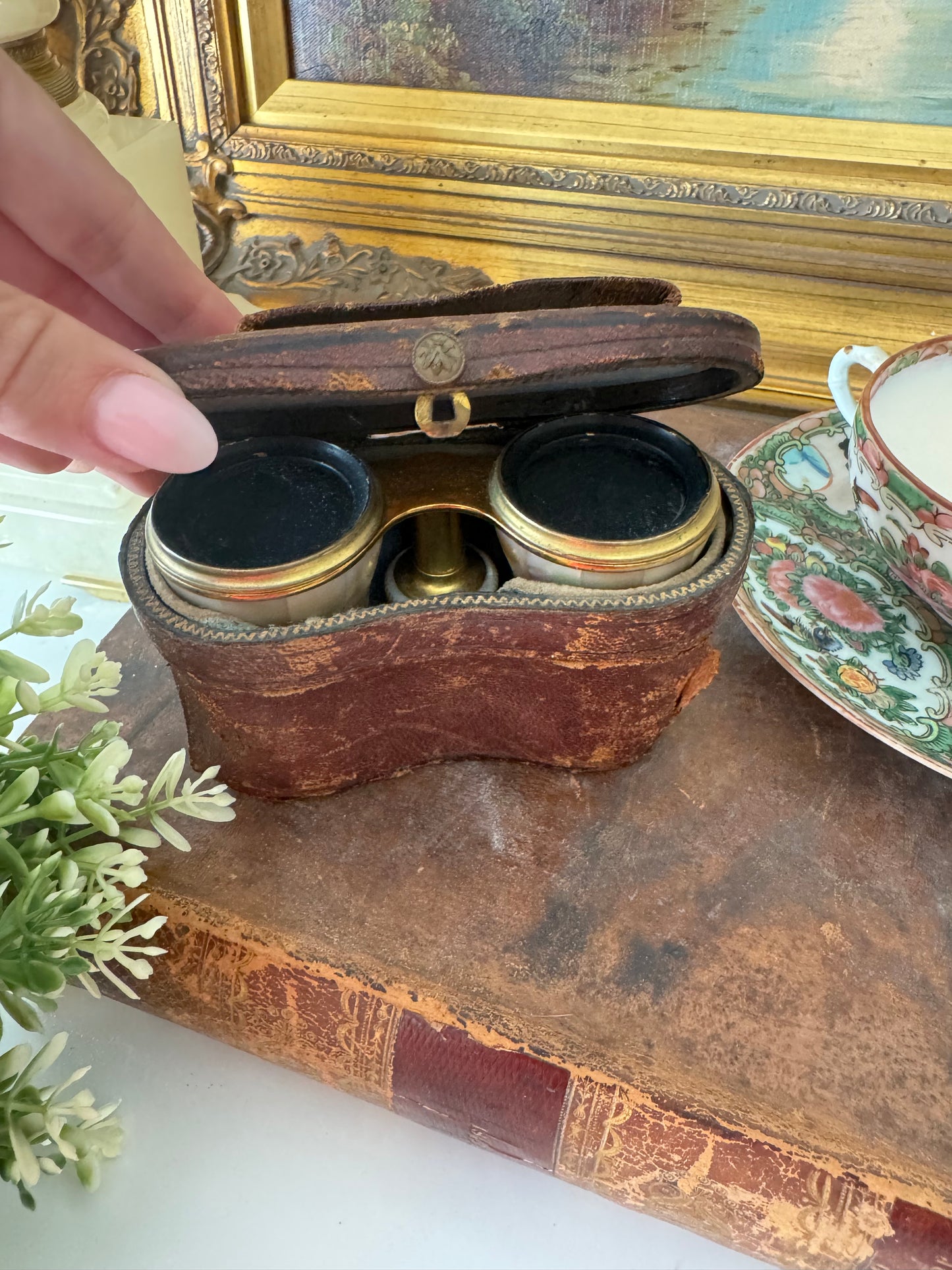 Antique Lemaire Paris Opera Glasses with Original E.B. Meyrowitz New York Case – Mother of Pearl & Brass Binoculars c.1890