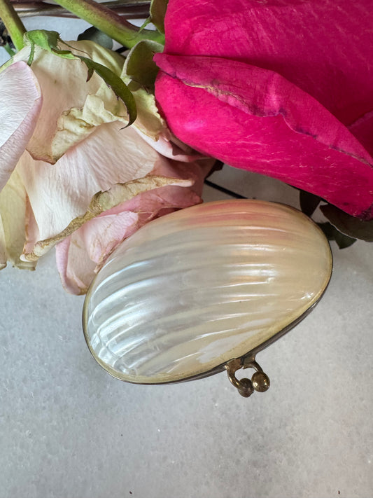 Antique Mother-of-Pearl Shell Coin Purse