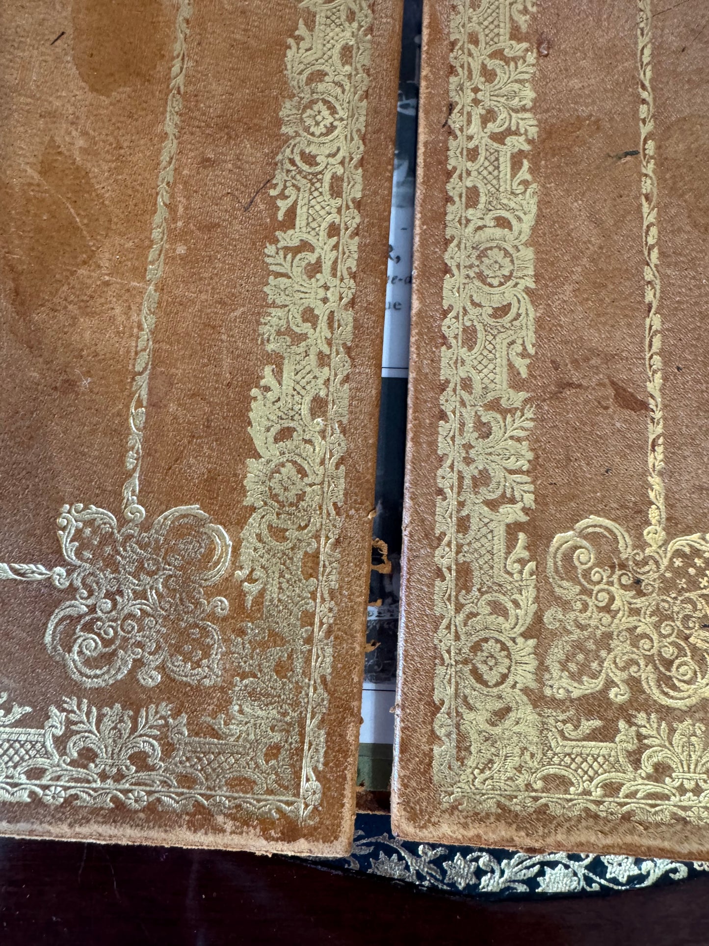 Antique French Royal Gilt-Tooled Leather Desk Mat