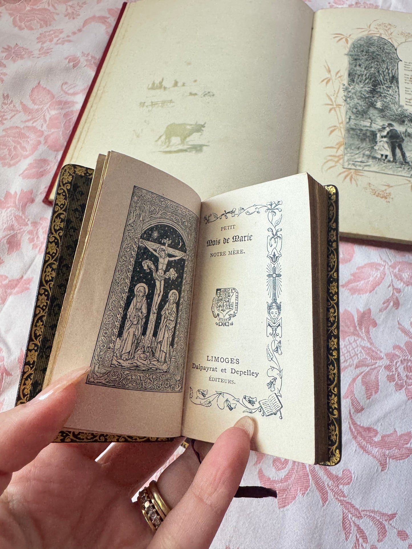 Pair of mini books