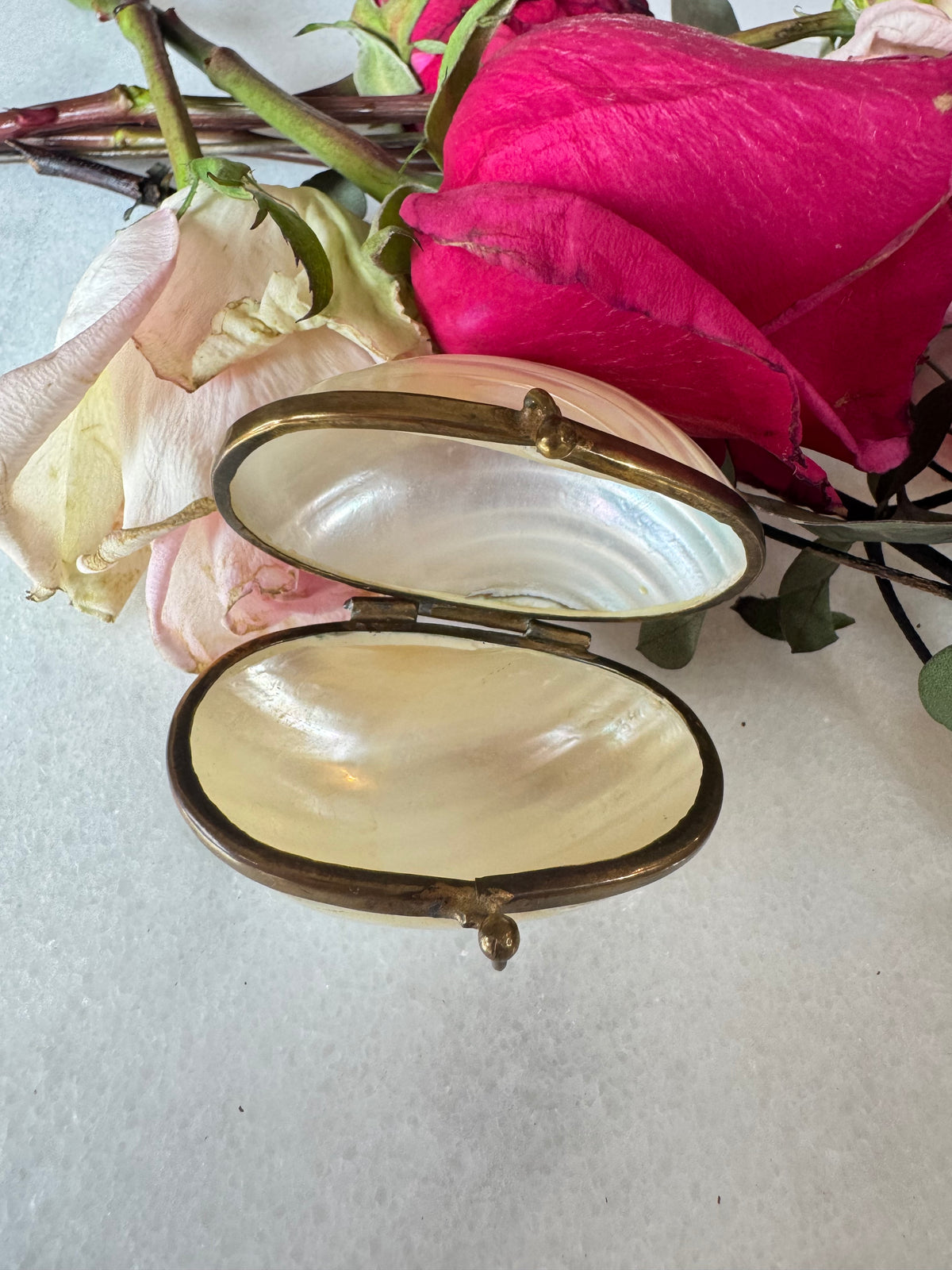 Antique Mother-of-Pearl Shell Coin Purse