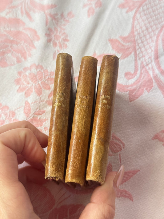 Antique French Devotional Mini Book Set