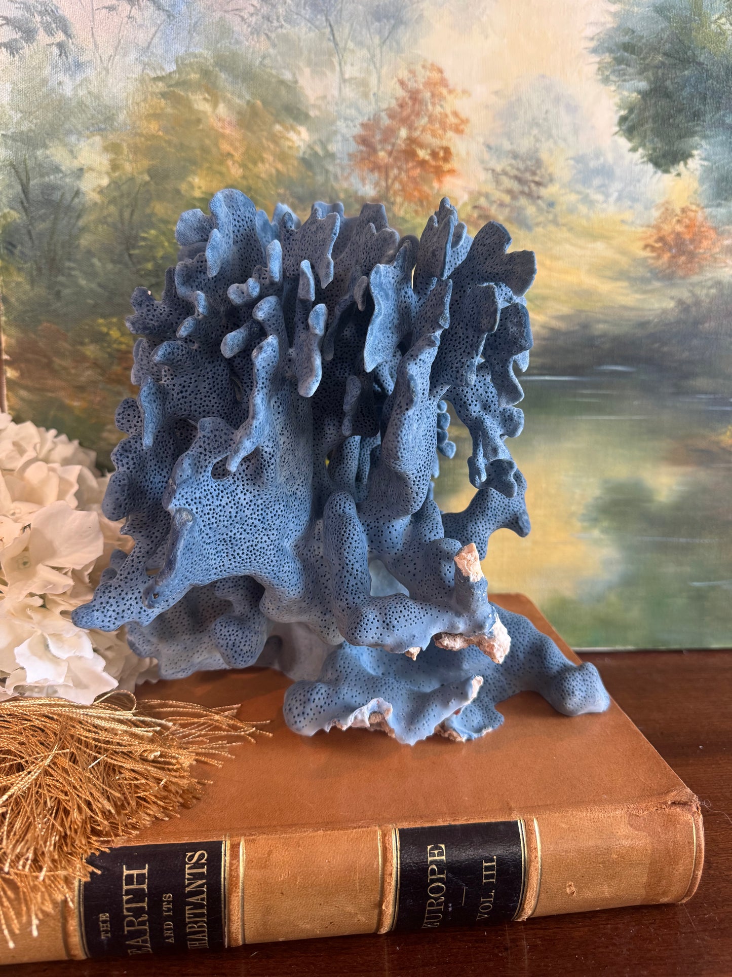 Large Blue Coral