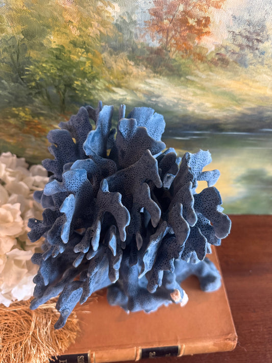 Large Blue Coral