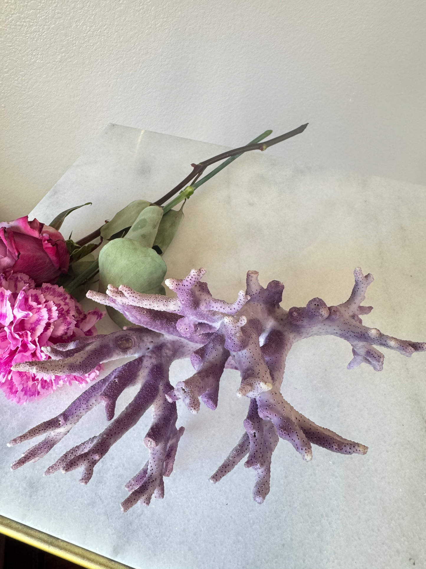 Large Natural Purple Coral