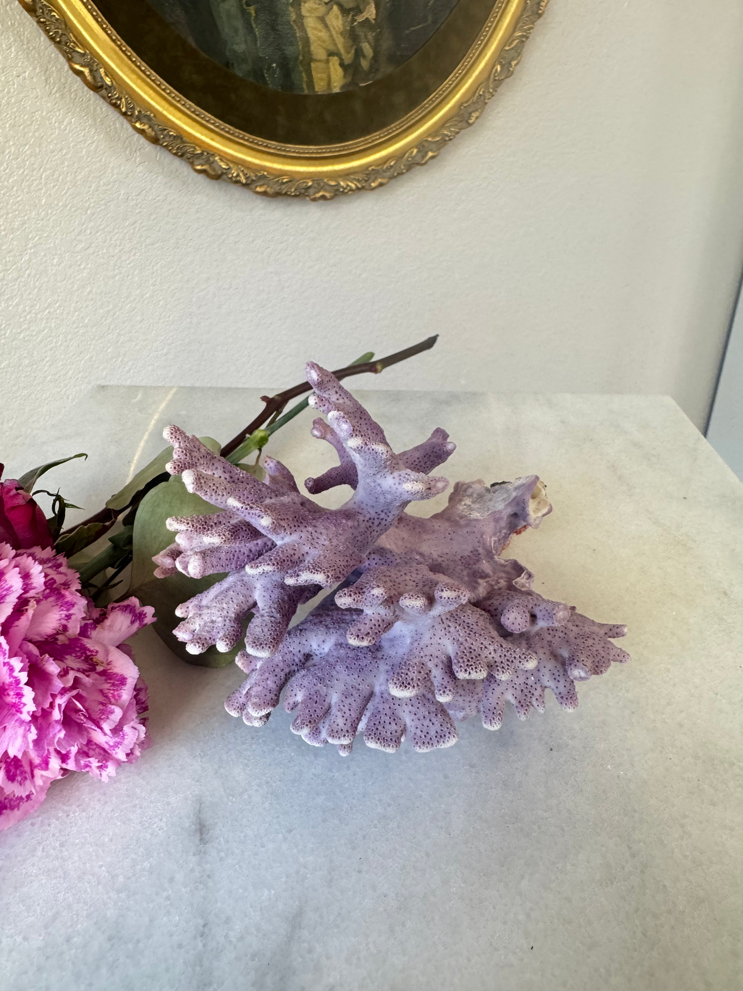 Medium Natural Purple Coral